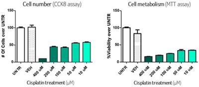 Ototoxicity: a high risk to auditory function that needs to be monitored in drug development